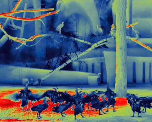 Тепловизионный бинокуляр Guide TN430