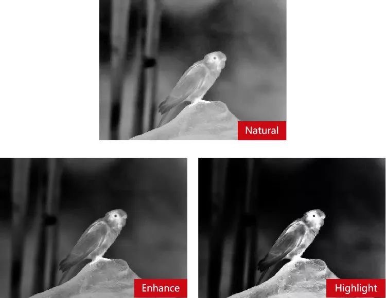 Тепловизионный бинокуляр Guide TN430